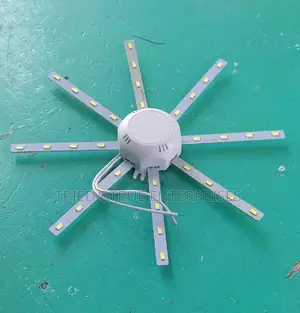 24wts Led Ceiling Light Source