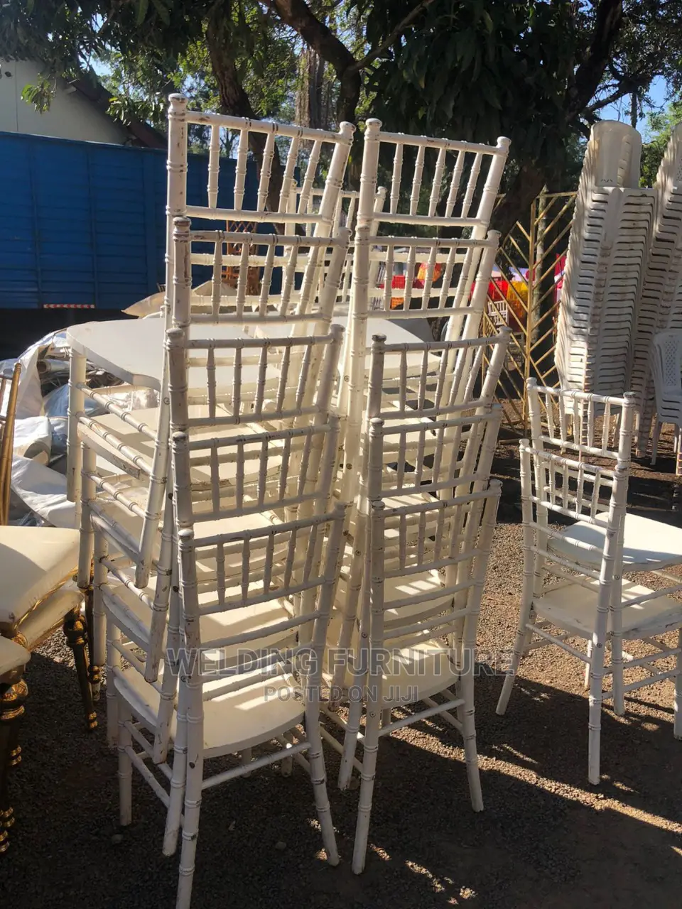 Chiavari Chairs