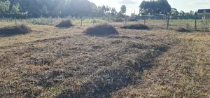 1⁄4 Plot in Gated Community for Sale in Illula Eldoret