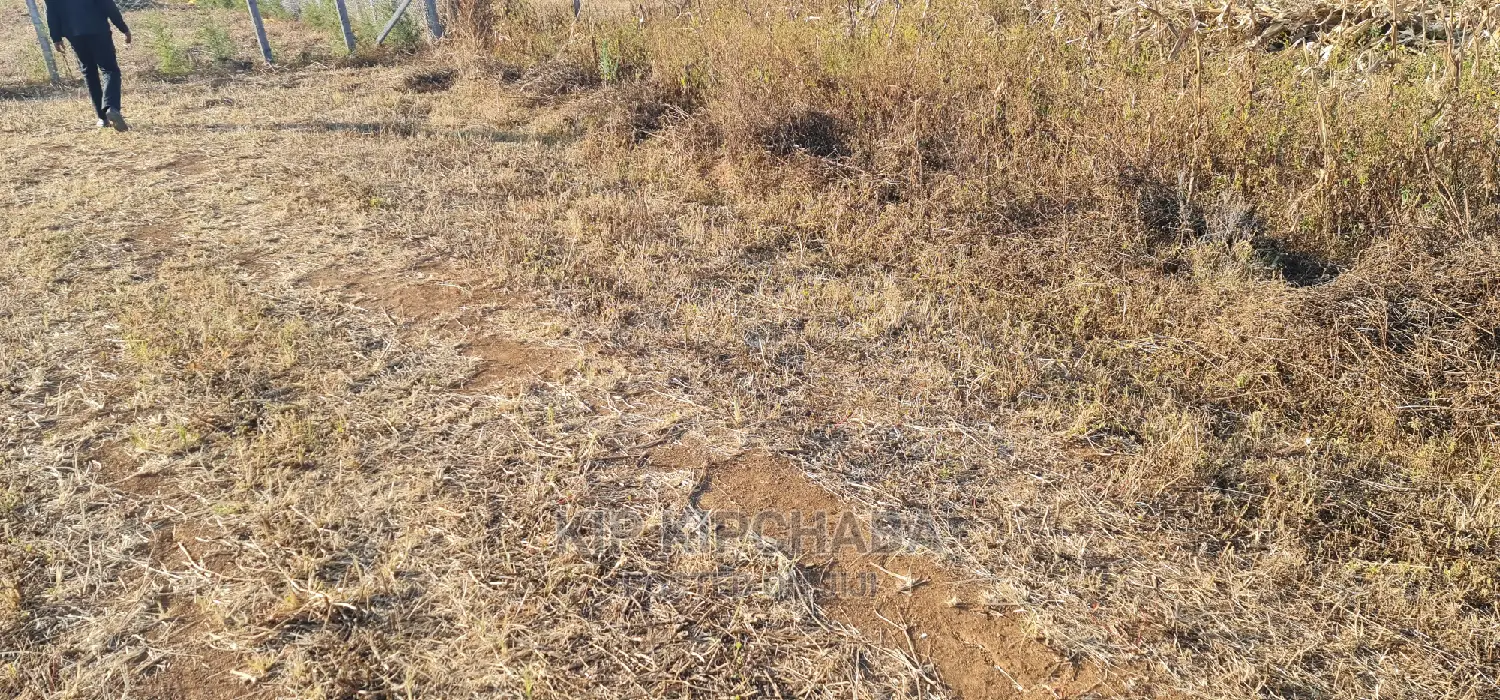1⁄4 Plot in Gated Community for Sale in Illula Eldoret