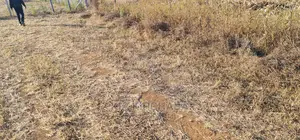 1⁄4 Plot in Gated Community for Sale in Illula Eldoret
