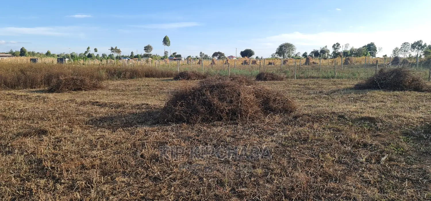 1⁄4 Plot in Gated Community for Sale in Illula Eldoret