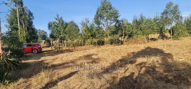 1⁄4 Plot in Gated Community for Sale in Illula Eldoret - thumbnail 8