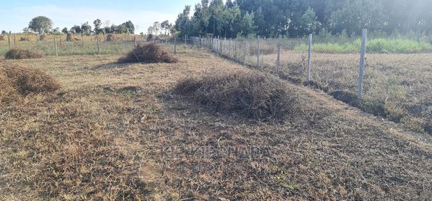 1⁄4 Plot in Gated Community for Sale in Illula Eldoret - thumbnail 7
