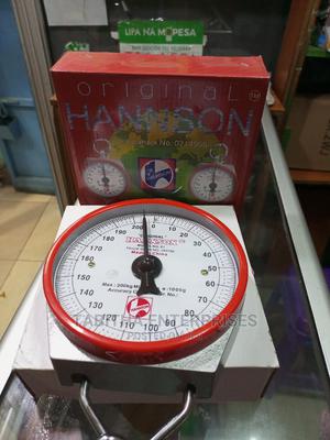 Hanging Hanson Scale - main view