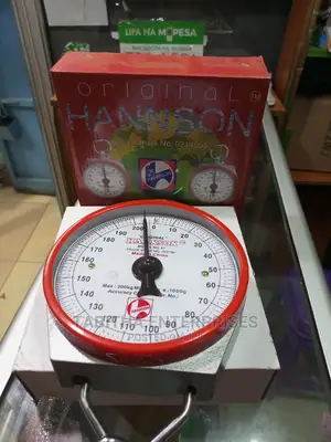 Hanging Hanson Scale