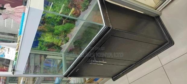 Glass Fish Aquarium - main view