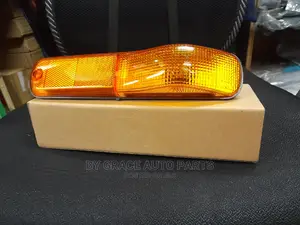 Side Lamp Isuzu FRR/FVR/FTR