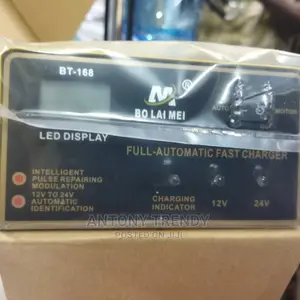Full Automatic Fast Charger 12v and 24v