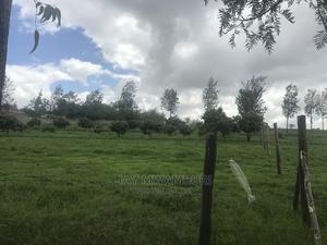 5 Acres Touching Road Kenani Arthi River - thumbnail 2