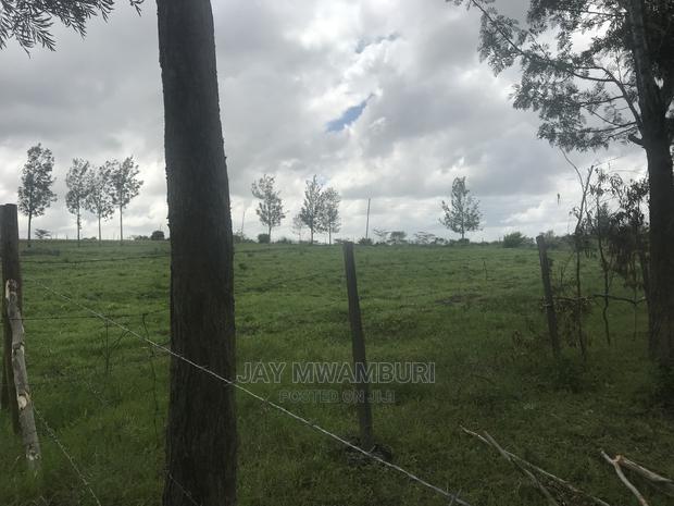 5 Acres Touching Road Kenani Arthi River - thumbnail 3