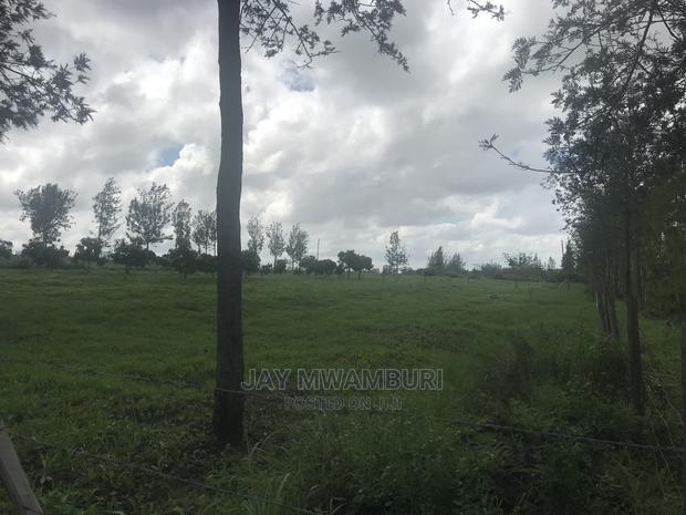 5 Acres Touching Road Kenani Arthi River - thumbnail 4