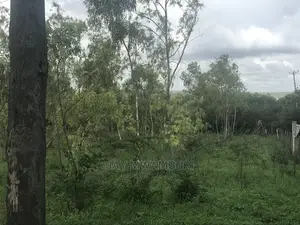 5 Acres Touching Road Kenani Arthi River