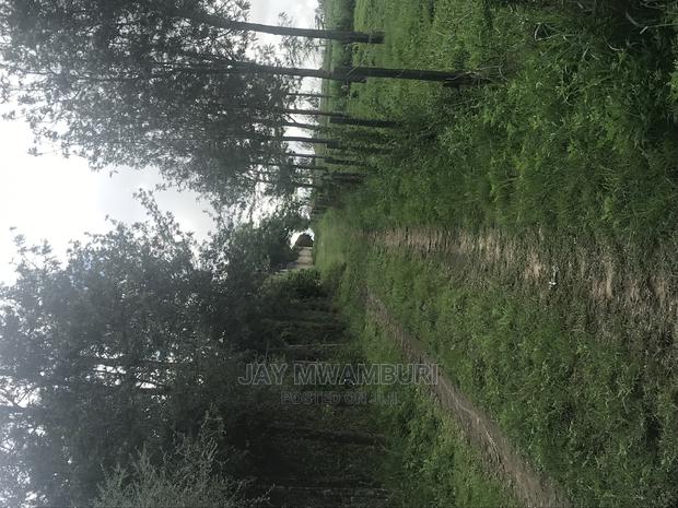 5 Acres Touching Road Kenani Arthi River - thumbnail 6