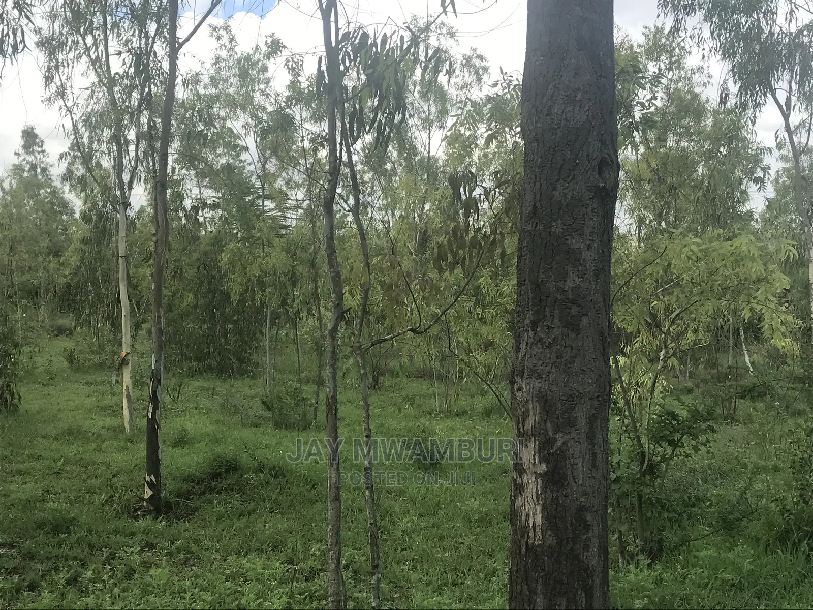5 Acres Touching Road Kenani Arthi River