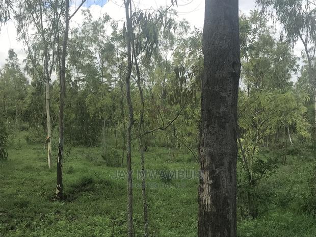 5 Acres Touching Road Kenani Arthi River - thumbnail 7