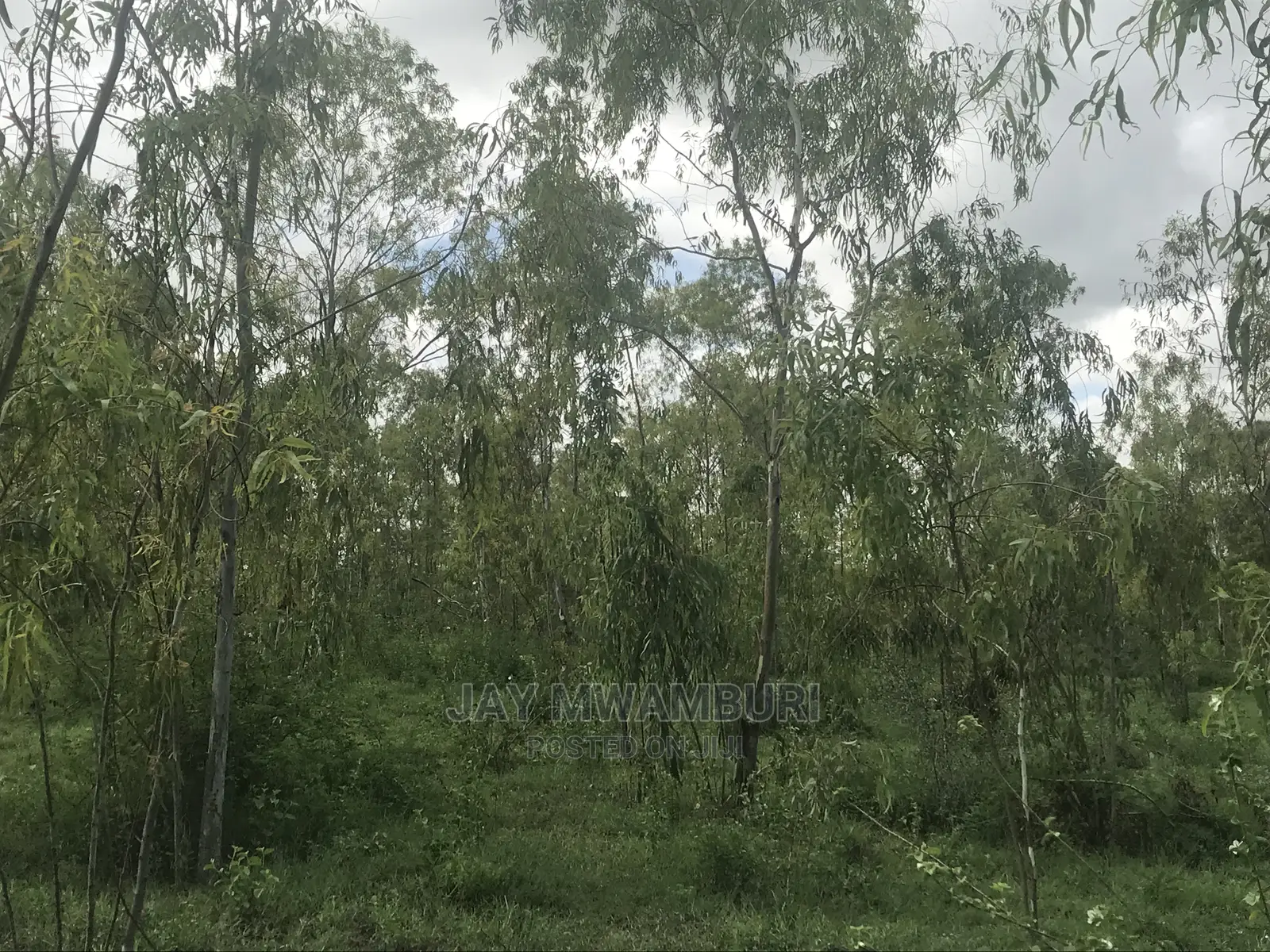 5 Acres Touching Road Kenani Arthi River