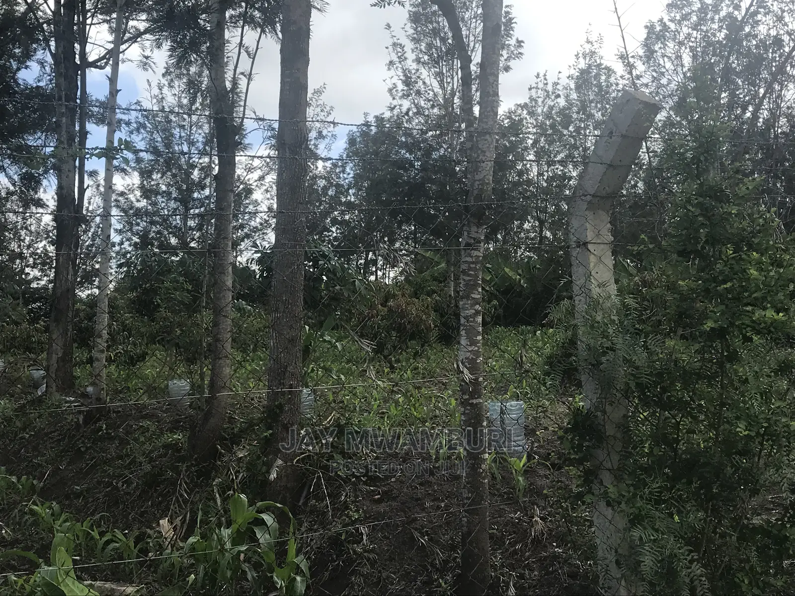 5 Acres Touching Road Kenani Arthi River