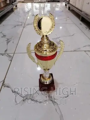 Awesome Best Quality Trophies