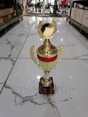 Top Awesome Quality Trophies