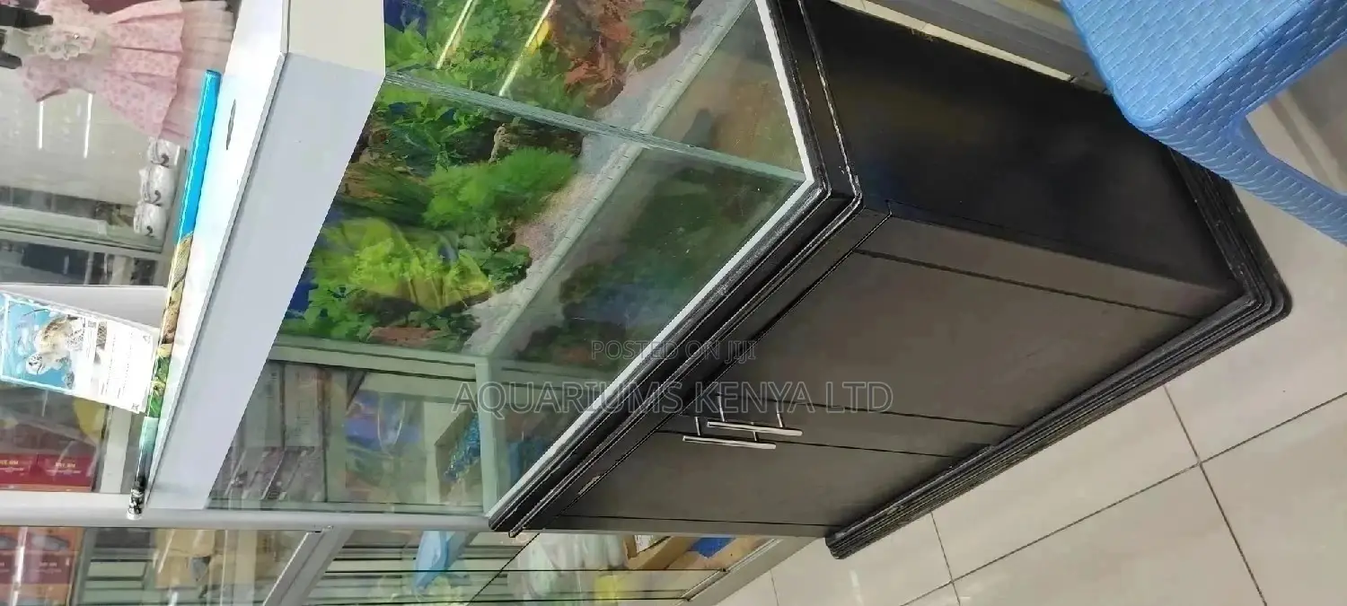Aquarium Fish Tank, Aquarium
