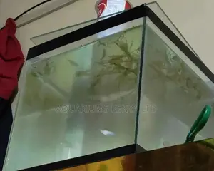 Small Fish Aquarium 20L