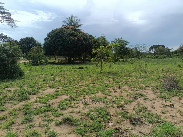 Dongo Kundu Land for Sale - thumbnail 3