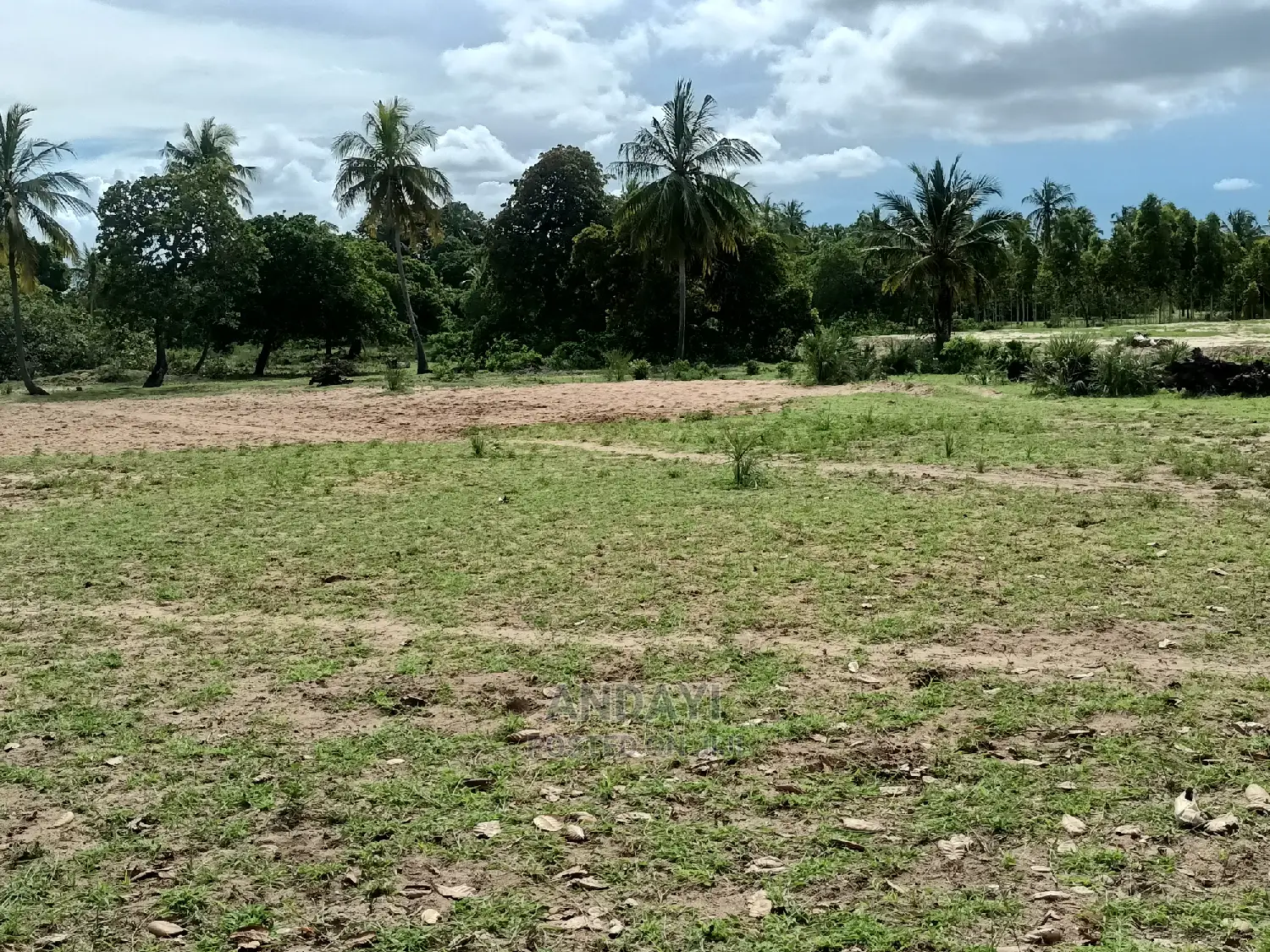 Dongo Kundu Land for Sale