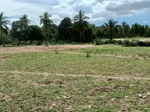 Dongo Kundu Land for Sale