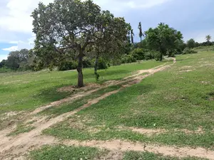 Dongo Kundu Land for Sale