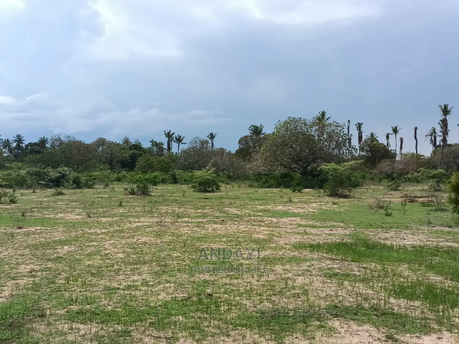Dongo Kundu Land for Sale