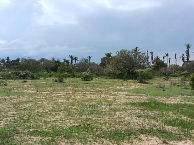 Dongo Kundu Land for Sale - thumbnail 6