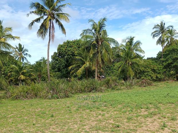 Dongo Kundu Land for Sale