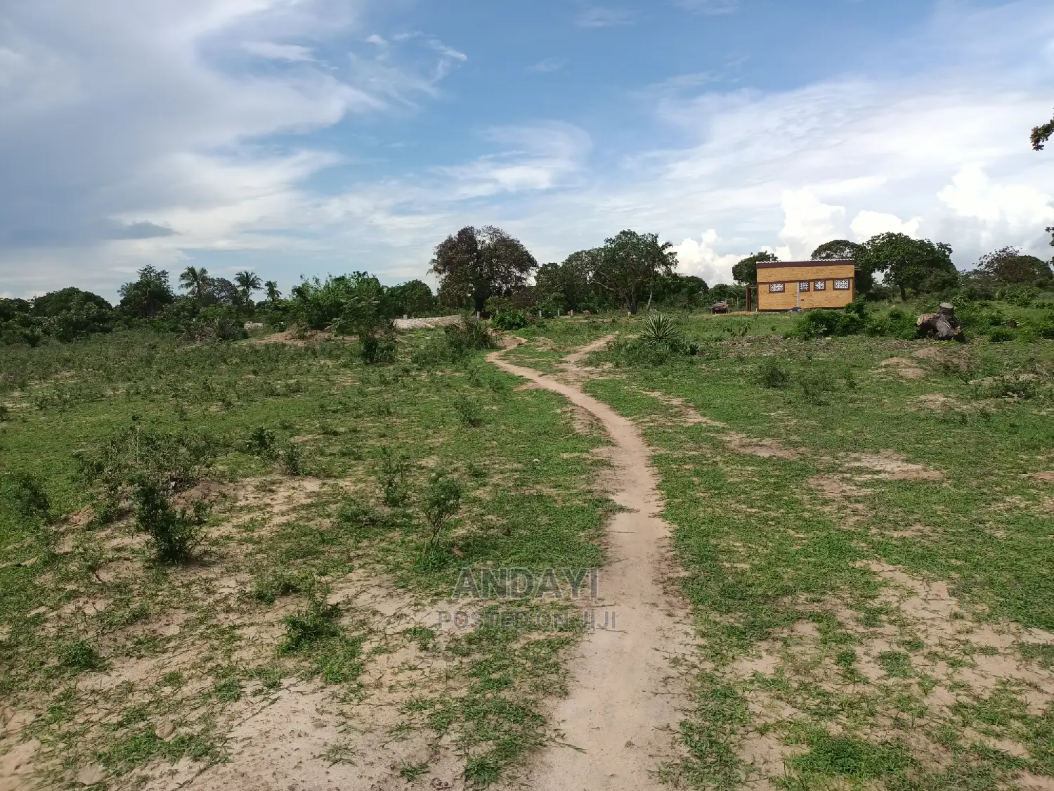 Dongo Kundu Land for Sale