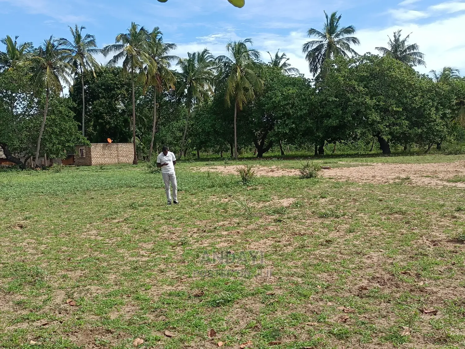 Dongo Kundu Land for Sale
