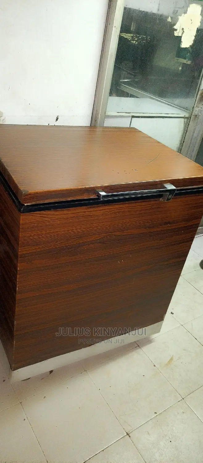 Deep Freezer 250L