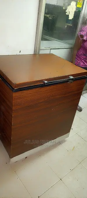 Deep Freezer 250L