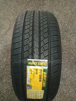 255/50r19 Westlake 107V