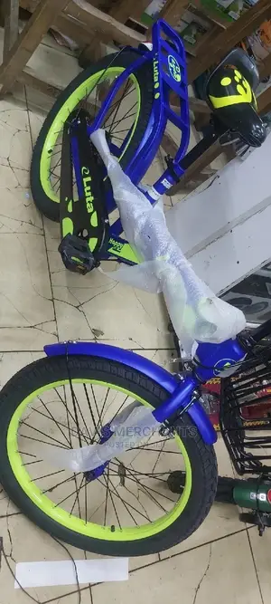 Bike Size 20
