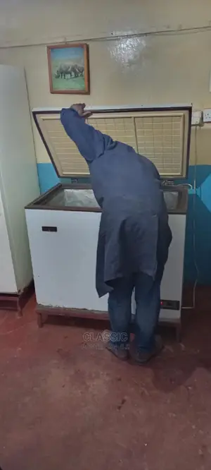 Freezer and Fridge Repairs