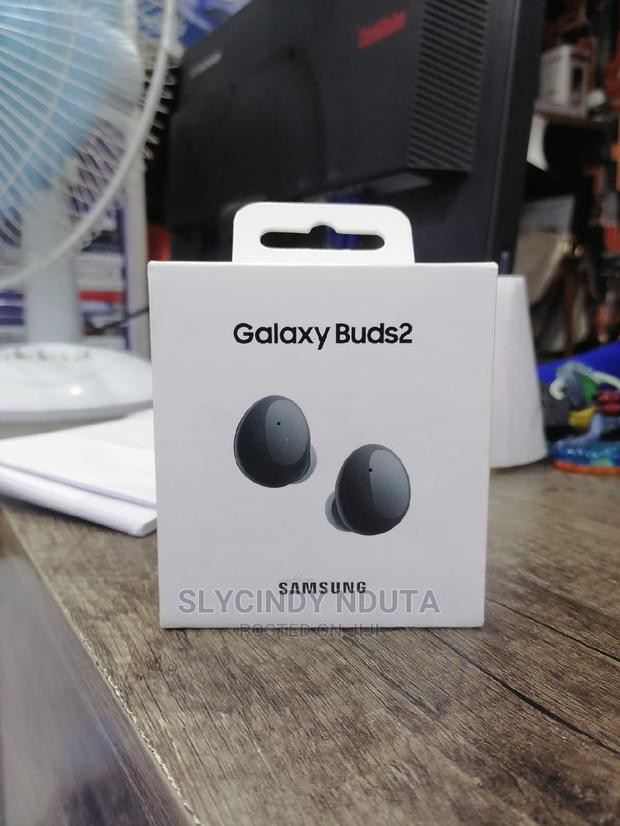 Galaxy Buds 2 - main view