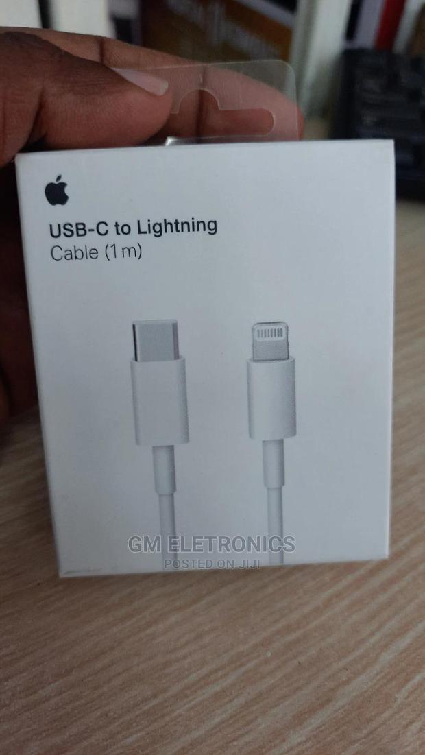 Type-C to Lightning iPhone Cable.