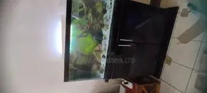 Complete Classy Custom Made Aquarium