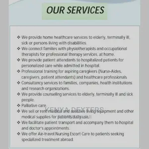 Home Based Care Services (Nursing Agency)