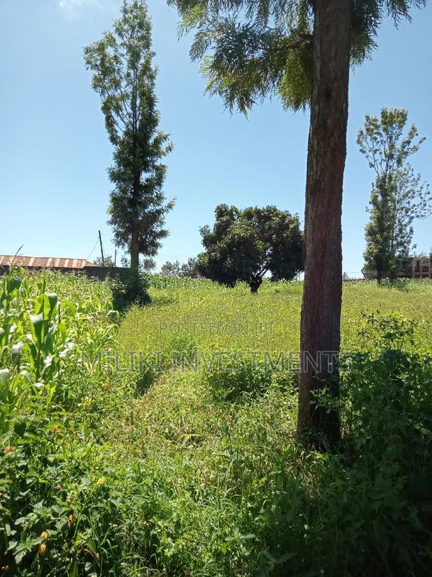 Half a Acre on Sale at Kenol Town. - thumbnail 3