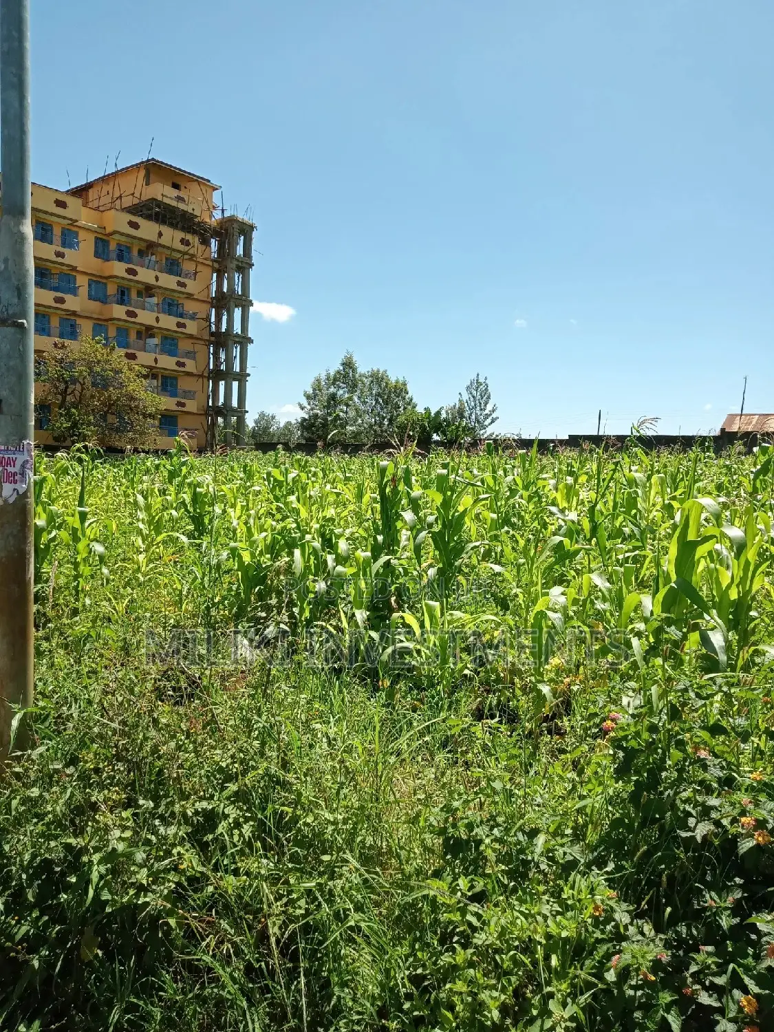 Half a Acre on Sale at Kenol Town.