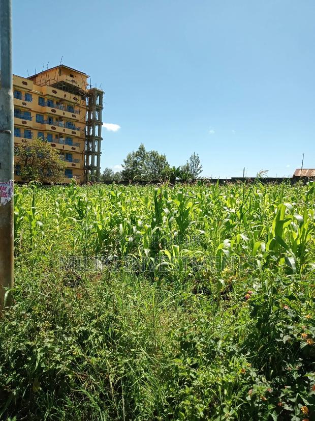 Half a Acre on Sale at Kenol Town. - thumbnail 4