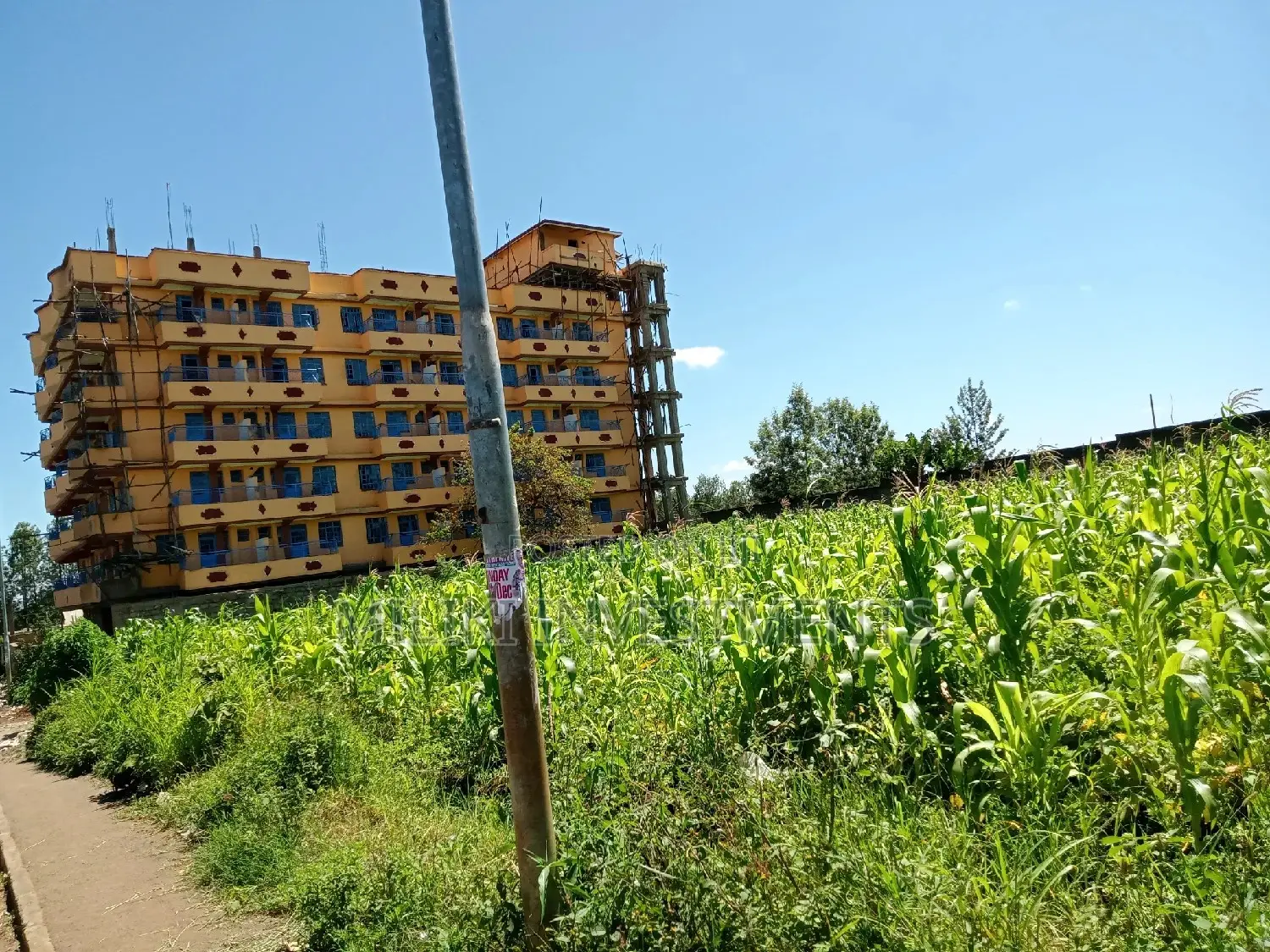 Half a Acre on Sale at Kenol Town.