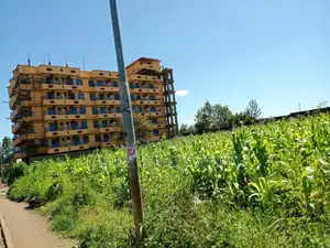 Half a Acre on Sale at Kenol Town.