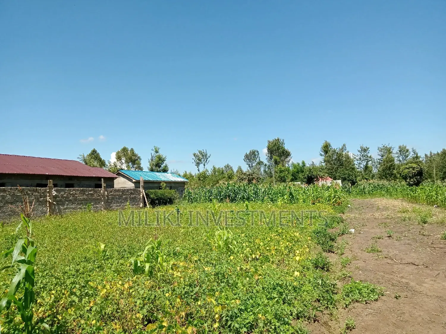 40 by 80 Plot on Sale at Kenol Area.